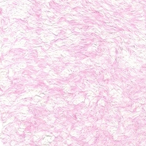 G06